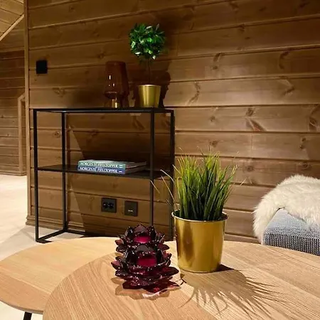 Feriehus Toppmoderne Hytte I Beito *